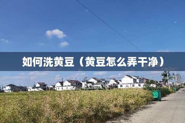 如何洗黄豆（黄豆怎么弄干净）