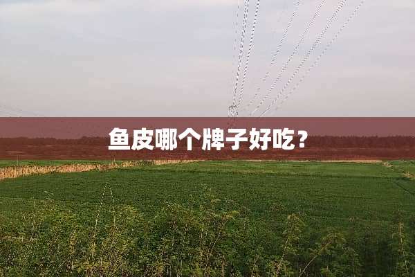 鱼皮哪个牌子好吃？