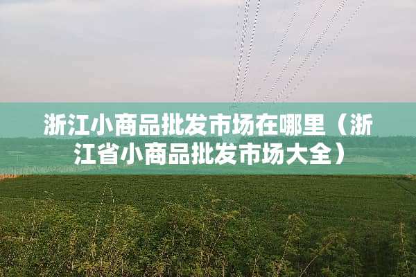 浙江小商品批发市场在哪里（浙江省小商品批发市场大全）