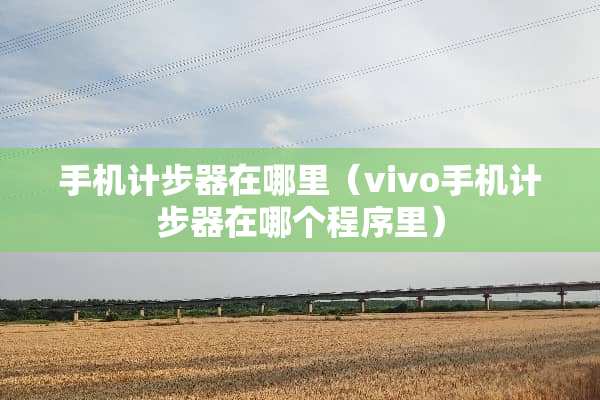手机计步器在哪里（vivo手机计步器在哪个程序里）