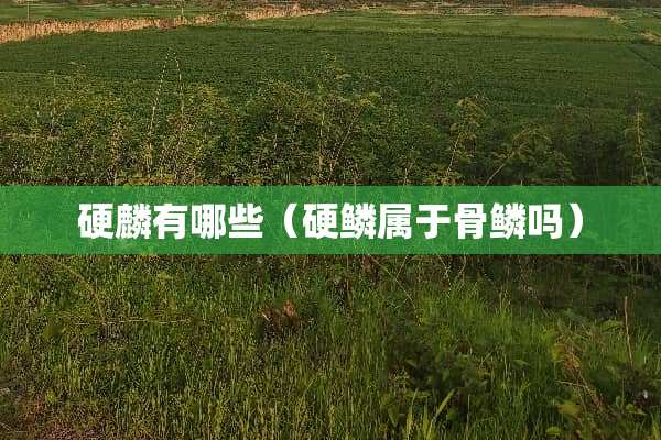 硬麟有哪些（硬鳞属于骨鳞吗）