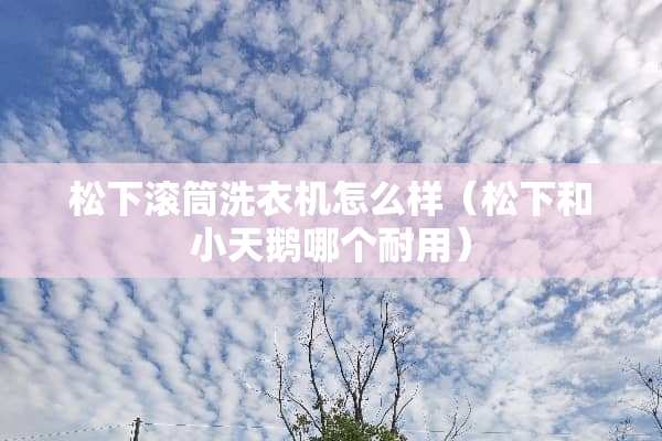 松下滚筒洗衣机怎么样（松下和小天鹅哪个耐用）
