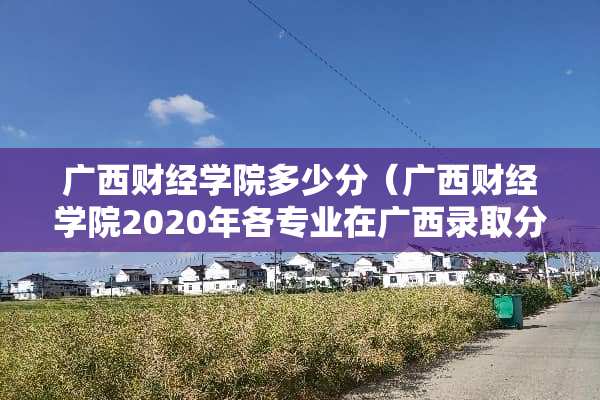 广西财经学院多少分（广西财经学院2020年各专业在广西录取分数）