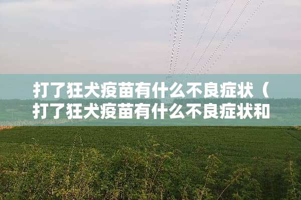 打了狂犬**有什么**症状（打了狂犬**有什么**症状和反应）
