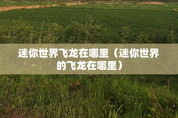 迷你世界飞龙在哪里（迷你世界的飞龙在哪里）