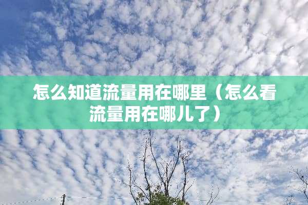 怎么知道流量用在哪里（怎么看流量用在哪儿了）