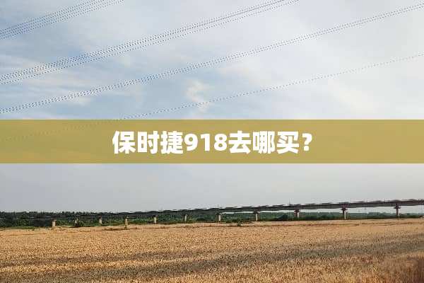 保时捷918去哪买？