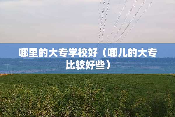 哪里的大专学校好（哪儿的大专比较好些）