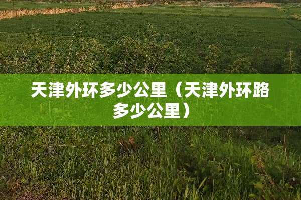 天津外环多少公里（天津外环路多少公里）