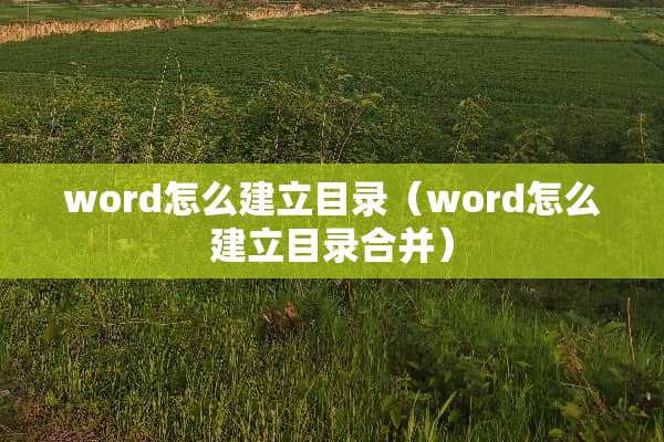 word怎么建立目录（word怎么建立目录合并）