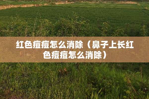 红色痘痘怎么消除（鼻子上长红色痘痘怎么消除）