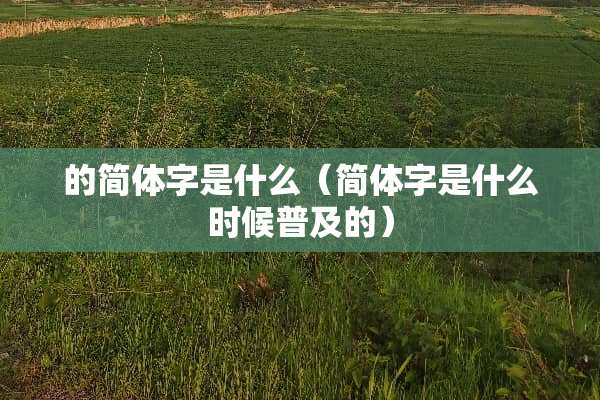 的简体字是什么（简体字是什么时候普及的）