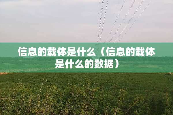 信息的载体是什么（信息的载体是什么的数据）