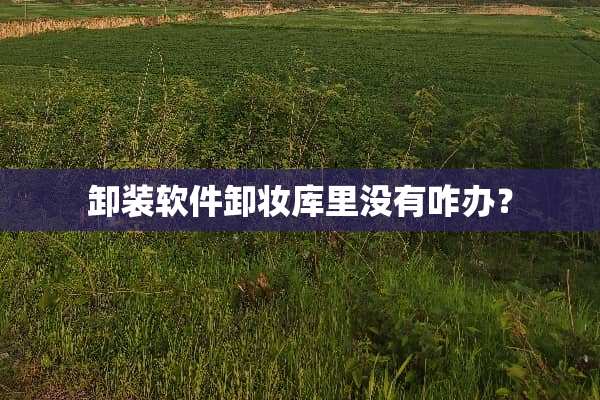 卸装软件卸妆库里没有咋办？