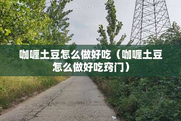 咖喱土豆怎么做好吃（咖喱土豆怎么做好吃窍门）