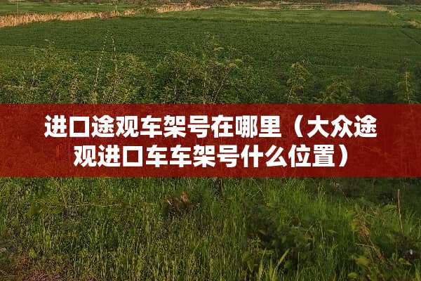 进口途观车架号在哪里（大众途观***车架号什么位置）