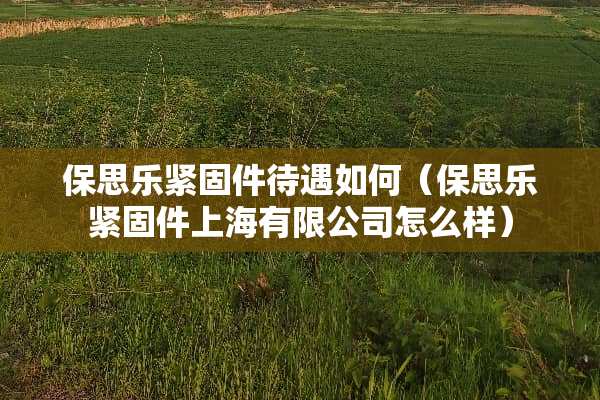 保思乐紧固件待遇如何（保思乐紧固件上海有限公司怎么样）