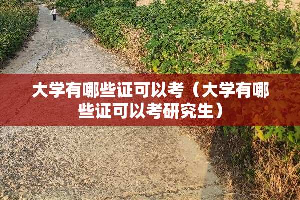 大学有哪些证可以考（大学有哪些证可以考研究生）