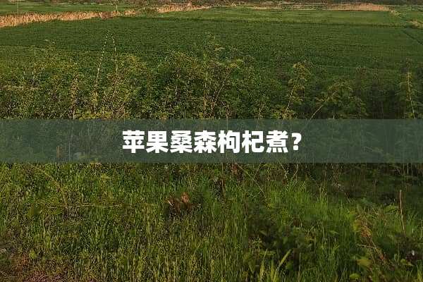 苹果桑森枸杞煮？