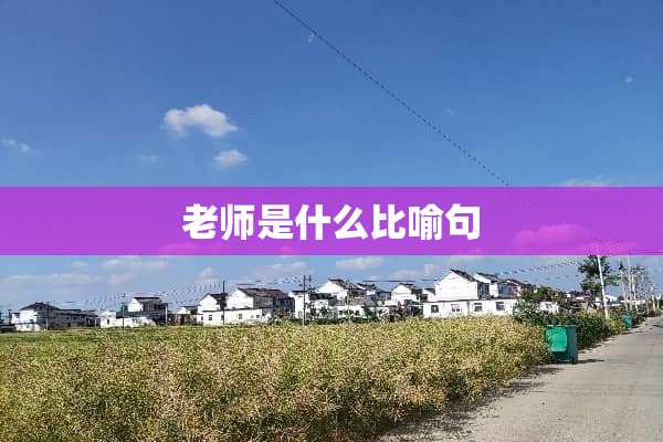 老师是什么比喻句