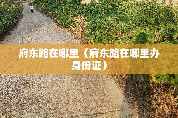 府东路在哪里（府东路在哪里办***）