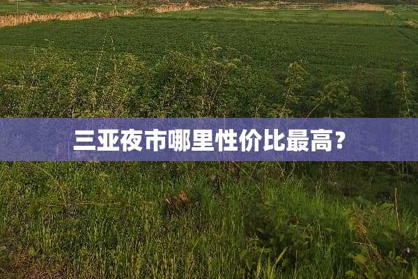 三亚夜市哪里性价比最高？