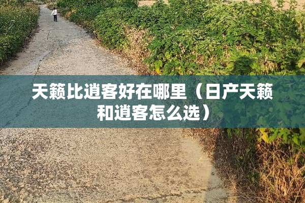 天籁比逍客好在哪里（日产天籁和逍客怎么选）