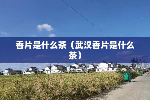 香片是什么茶（武汉香片是什么茶）