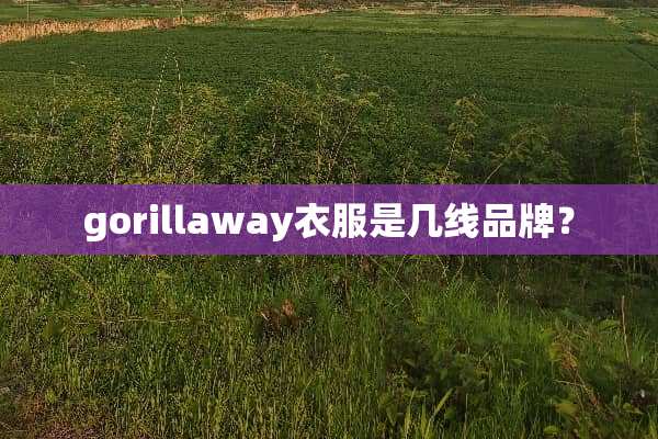 gorillaway衣服是几线品牌？