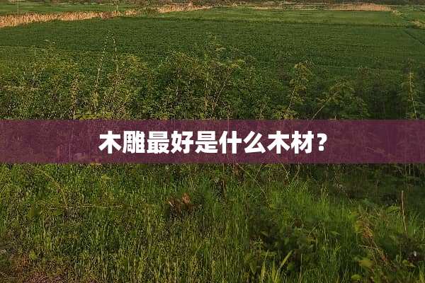 木雕最好是什么木材？