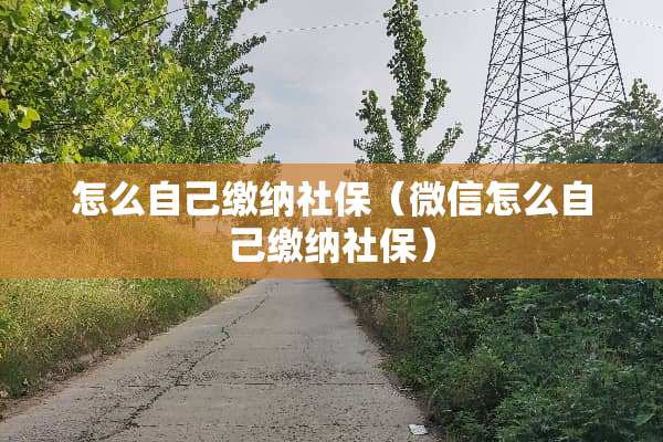 怎么自己缴纳社保（微信怎么自己缴纳社保）