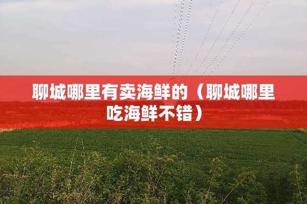 聊城哪里有卖海鲜的（聊城哪里吃海鲜不错）