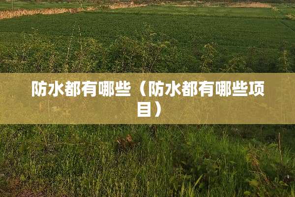 防水都有哪些（防水都有哪些项目）
