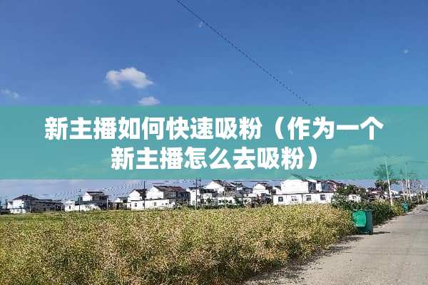 新主播如何快速吸粉（作为一个新主播怎么去吸粉）