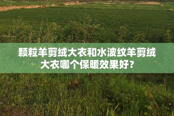 颗粒羊剪绒大衣和水波纹羊剪绒大衣哪个保暖效果好？