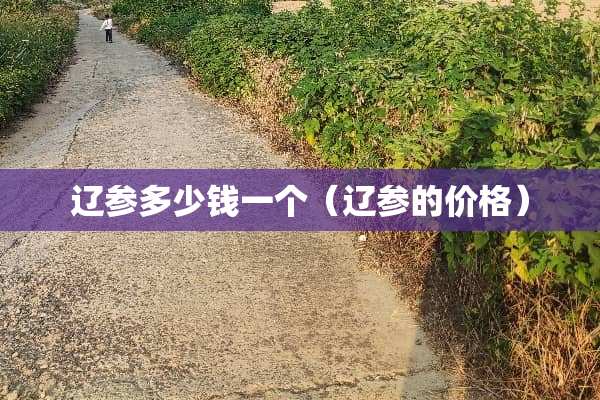 辽参多少钱一个（辽参的价格）