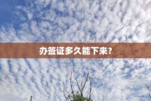 办签证多久能下来？
