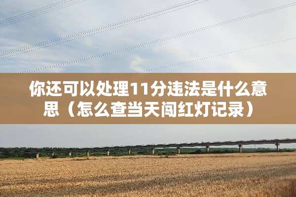 你还可以处理11分违法是什么意思（怎么查当天闯红灯记录）