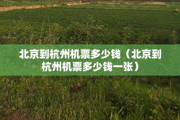 北京到杭州机票多少钱（北京到杭州机票多少钱一张）