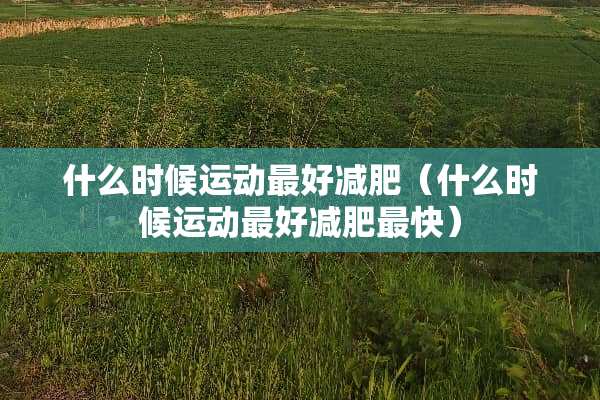 什么时候运动最好减肥（什么时候运动最好减肥最快）