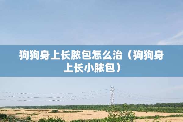 狗狗身上长脓包怎么治（狗狗身上长小脓包）