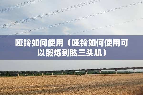 哑铃如何使用（哑铃如何使用可以锻炼到肱三头肌）