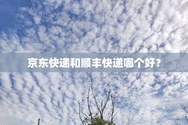 京东快递和顺丰快递哪个好？