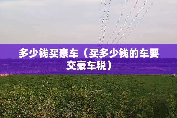 多少钱买豪车（买多少钱的车要交豪车税）