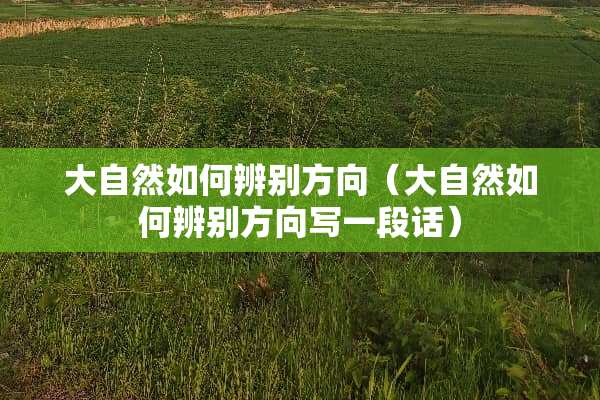 大自然如何辨别方向（大自然如何辨别方向写一段话）