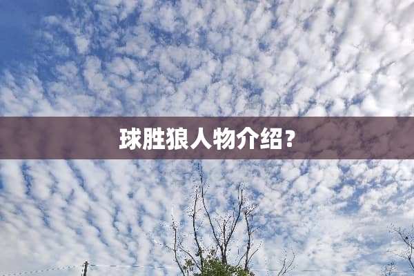 球胜狼人物介绍？