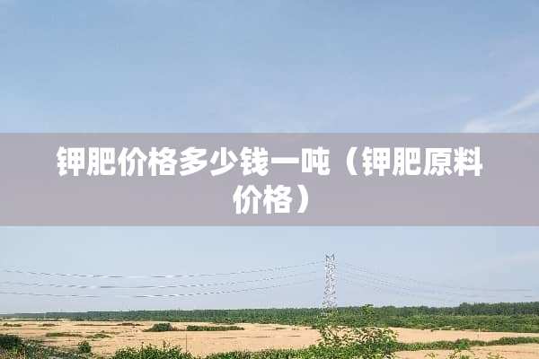 钾肥价格多少钱一吨（钾肥原料价格）