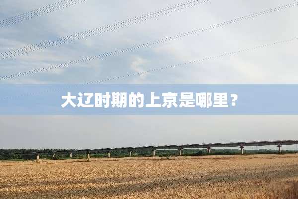 大辽时期的上京是哪里？