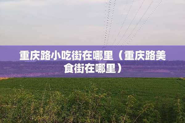 重庆路小吃街在哪里（重庆路美食街在哪里）