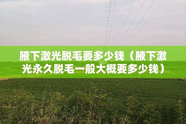 腋下激光脱毛要多少钱（腋下激光永久脱毛一般大概要多少钱）